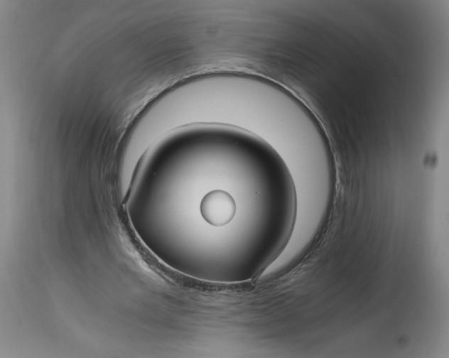 X0000114390485200911061518