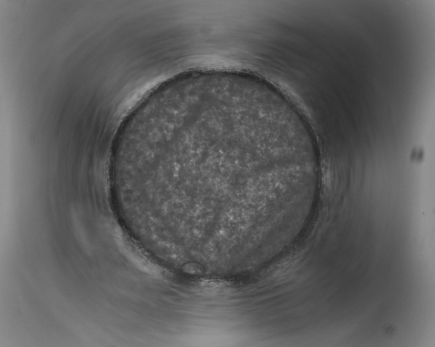 X0000114390487200911061518