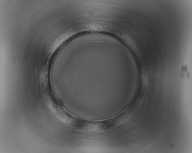 X0000114390488200911061518