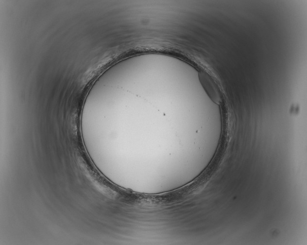 X0000114390489200911061518