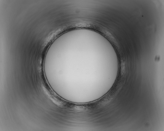 X0000114390490200911061518