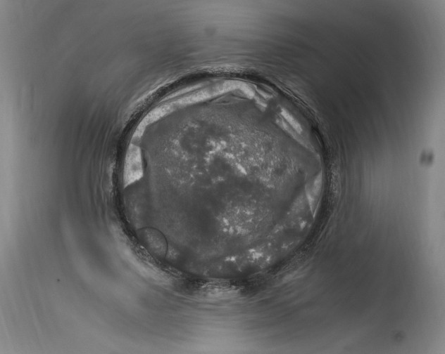 X0000114390491200911061518