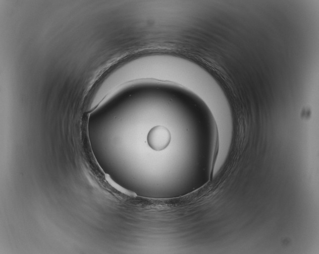 X0000114390492200911061518