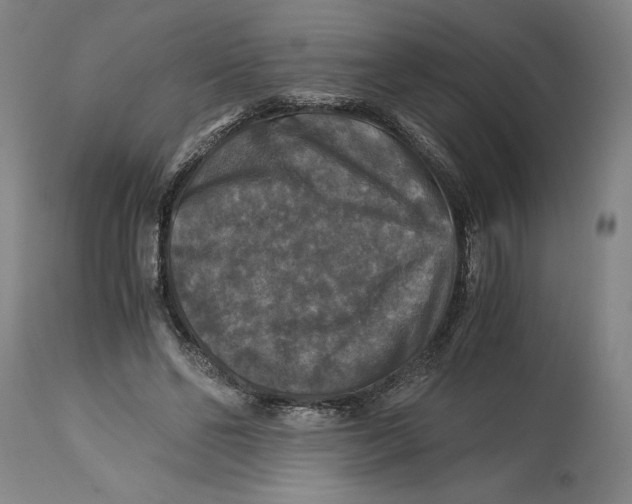X0000114390494200911061518