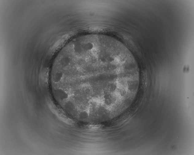 X0000114390495200911061518