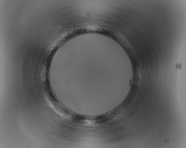 X0000114390496200911061518