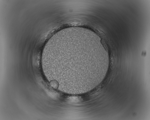 X0000114390499200911061518