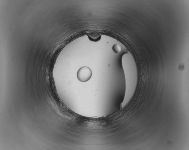 X0000114390500200911061518