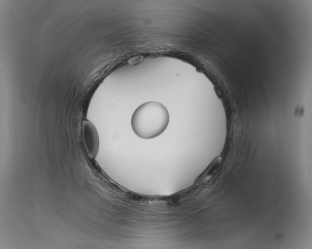 X0000114390501200911061518