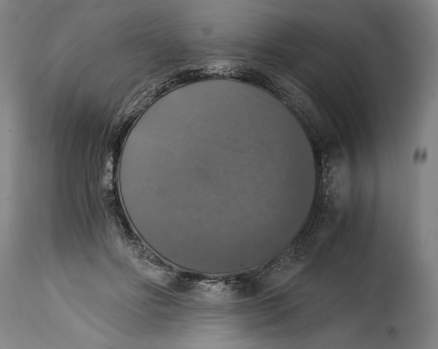 X0000114390502200911061518