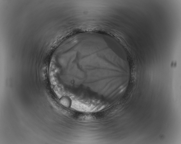 X0000114390503200911061518