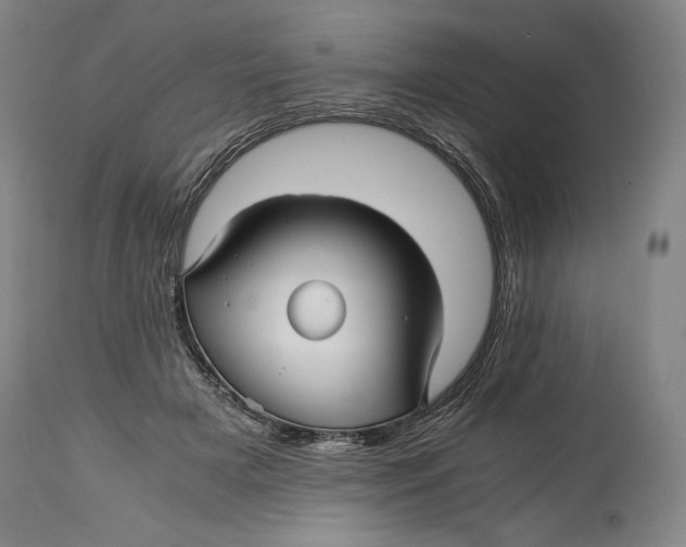 X0000114390505200911061518