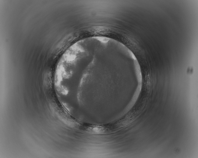 X0000114390506200911061518