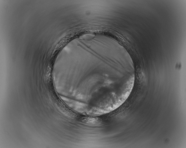 X0000114390507200911061518