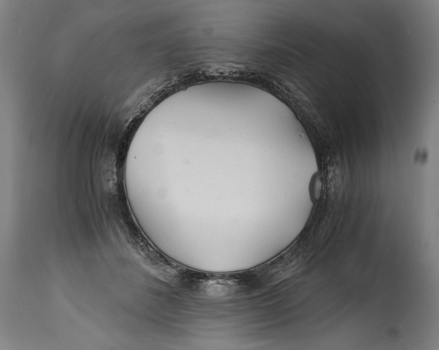 X0000114390508200911061518