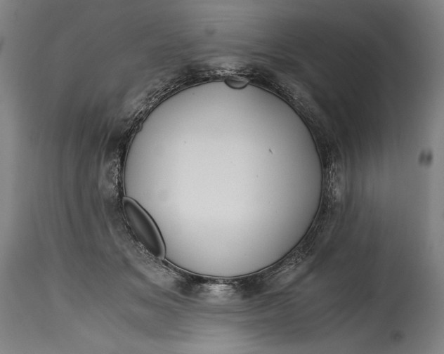 X0000114390509200911061518