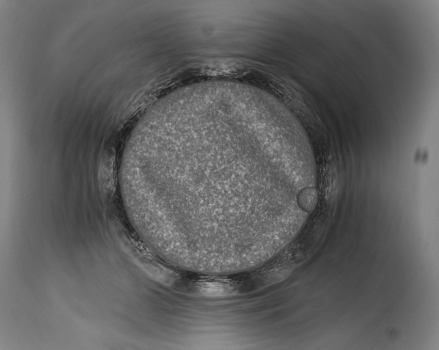 X0000114390510200911061518