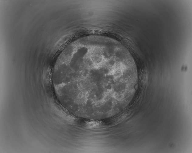 X0000114390511200911061518