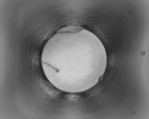 X0000114390512200911061518