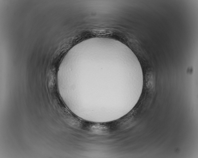 X0000114390515200911061518