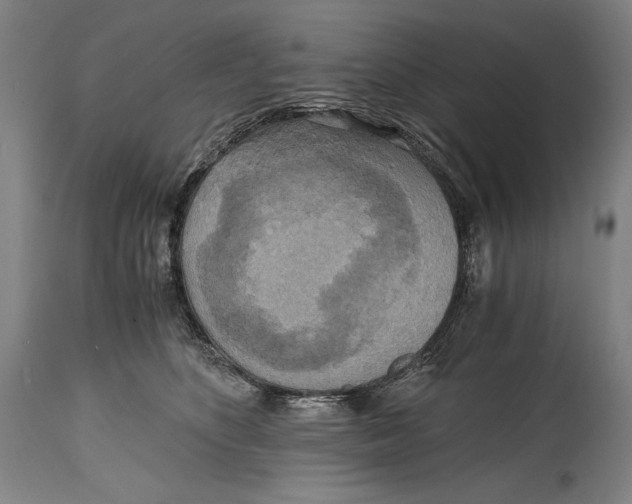 X0000114390516200911061518