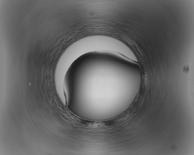 X0000114390517200911061518