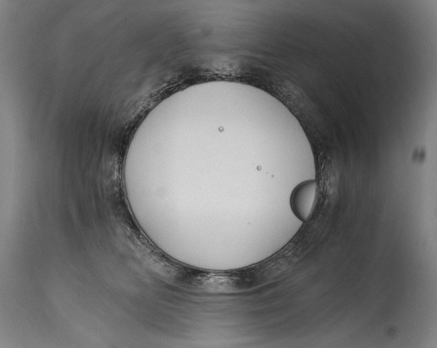 X0000114390518200911061517