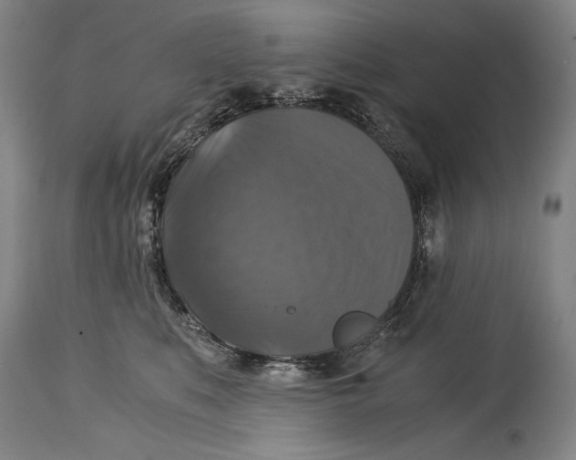 X0000114390519200911061517