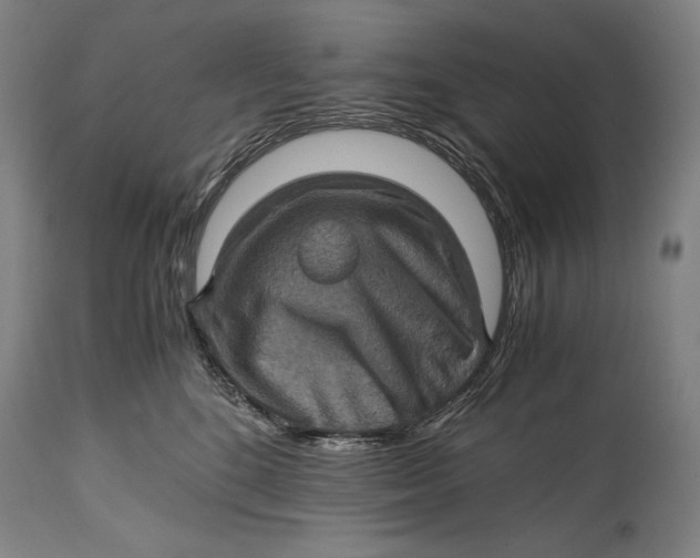 X0000114390520200911061517