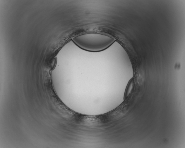 X0000114390521200911061517