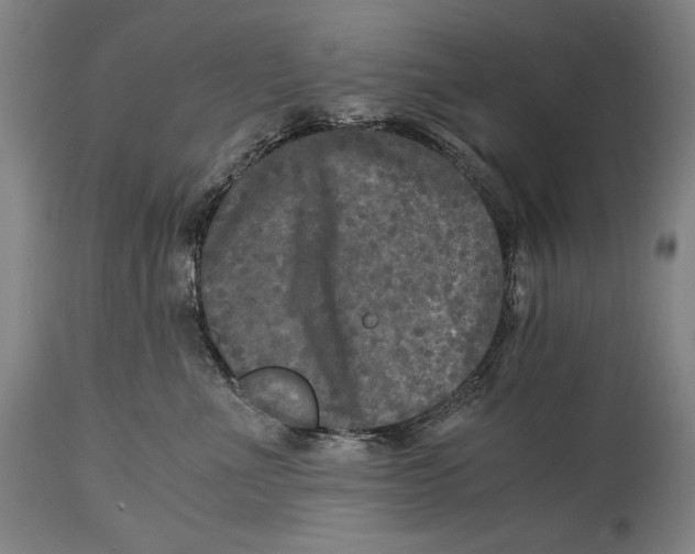 X0000114390523200911061517