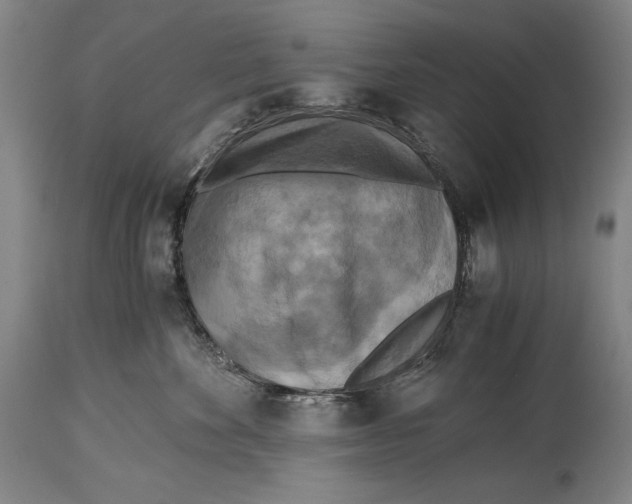X0000114390524200911061517