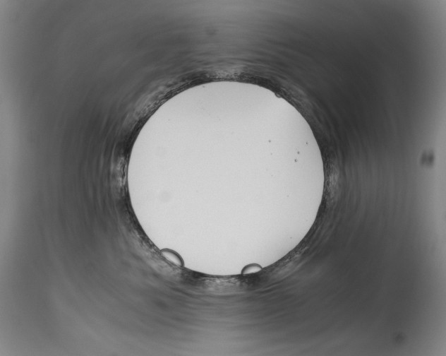 X0000114390525200911061517