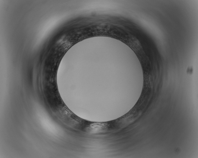 X0000114390526200911061517