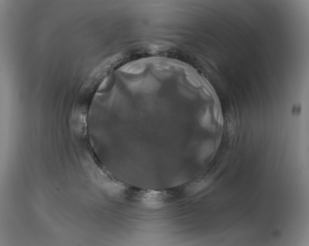 X0000114390527200911061517