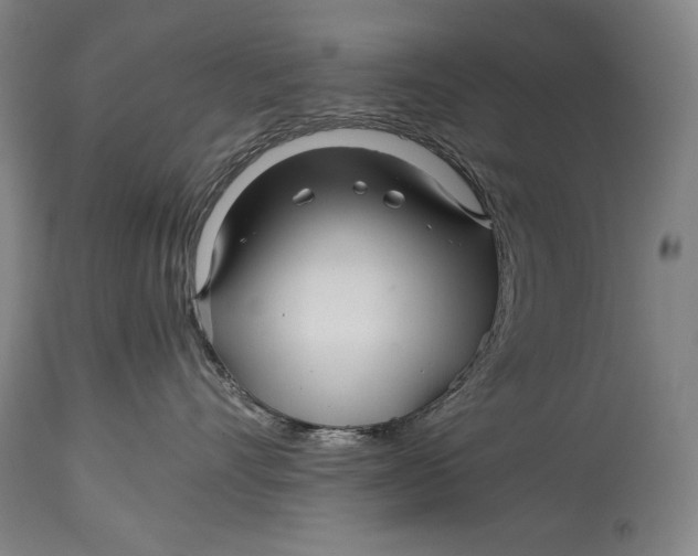 X0000114390528200911061517