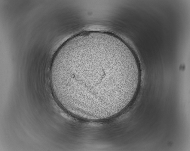 X0000114390529200911061517
