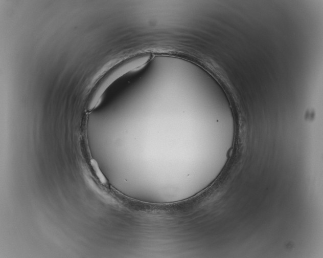 X0000114390530200911061517
