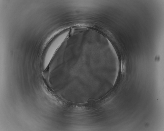 X0000114390531200911061517