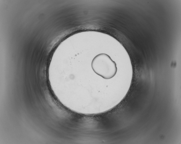 X0000114390534200911061517