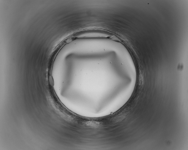 X0000114390535200911061517