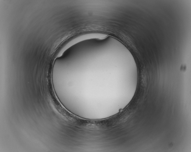 X0000114390538200911061517