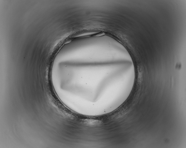 X0000114390539200911061517
