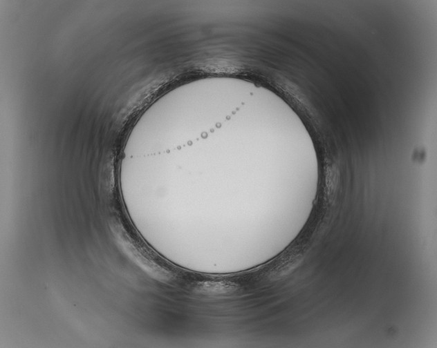 X0000114390541200911061517