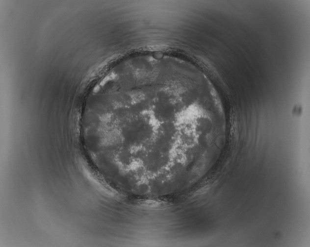 X0000114390542200911061517
