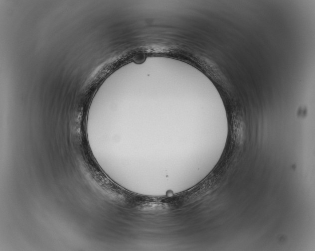 X0000114390543200911061517