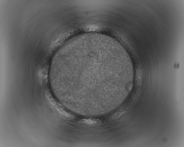X0000114390545200911061517