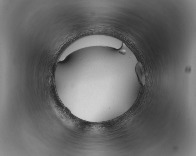 X0000114390546200911061517