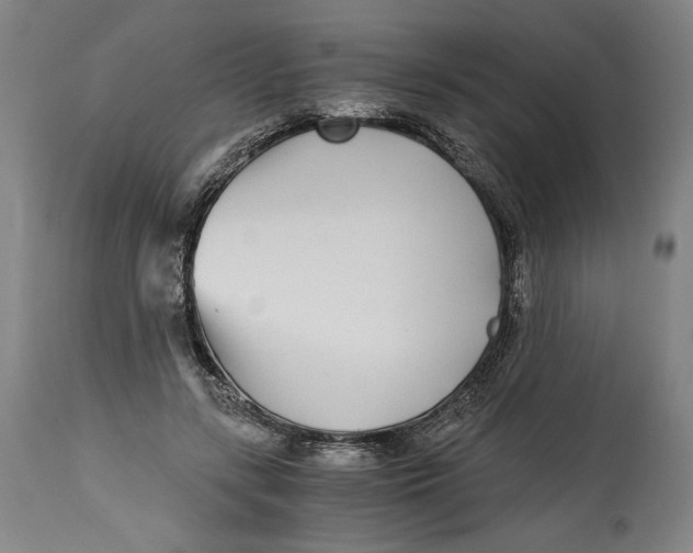 X0000114390547200911061517