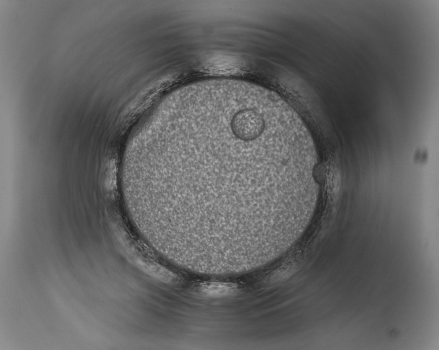 X0000114390549200911061517